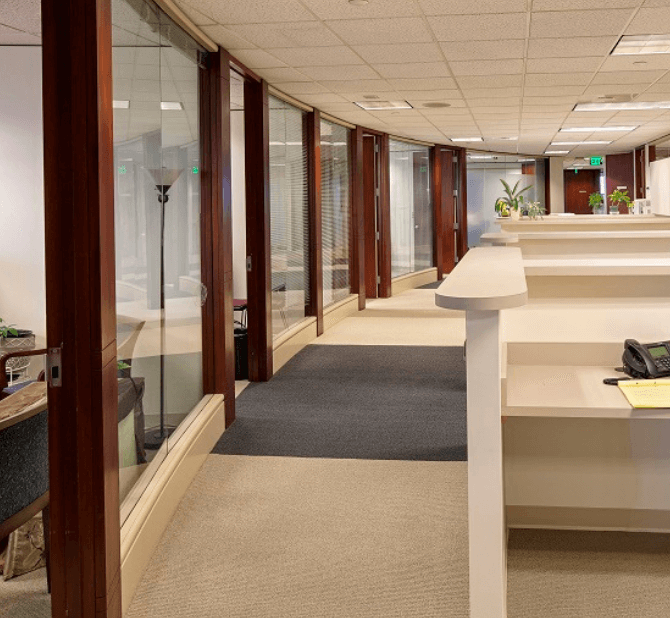 Portfolio DT _ Content