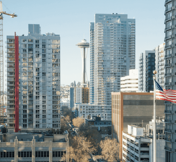 Portfolio DT _ Content